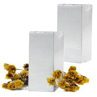 Steekschuim - 2x - grijs - oase - droog gebruik - 20 x 7,5 x 10 cm - bloemstukken/ kerststukjes make