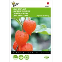 Physalis, Lampionplant