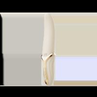 Zalo Eve - Ivoor Wit Zalo Eve - Ivoor Wit