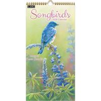 Songbirds Kalender 2026 Small