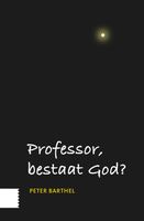 Professor, bestaat God? - Peter Barthel - ebook