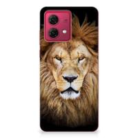 Motorola Moto G84 | TPU Hoesje | Leeuw