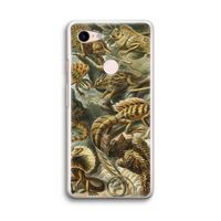 Haeckel Lacertilia: Google Pixel 3 Transparant Hoesje