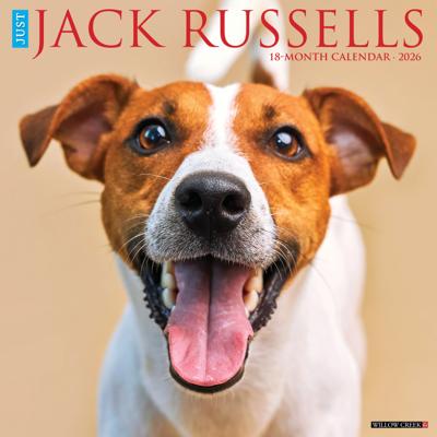 Jack Russell Terrier Kalender 2026
