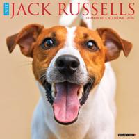 Jack Russell Terrier Kalender 2026