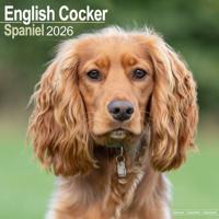 Engelse Cocker Spaniel Kalender 2026