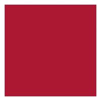Creativ Company Gekleurd karton kerstrood 270gr, 100 vellen