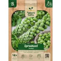 Spruitkool roodnerf 150st