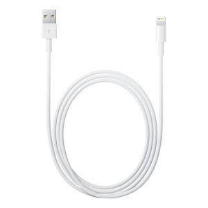 Apple MD819ZM/A Lightning/USB Kabel - iPhone, iPad, iPod - Wit