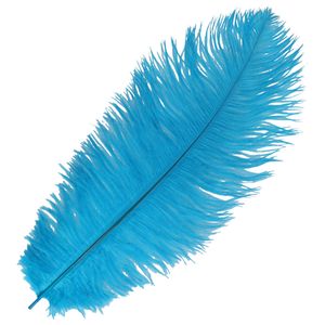 Pietenveer/verkleed veer - 35 cm - blauw - voor pieten baret   -
