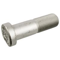 Wielbout 12862