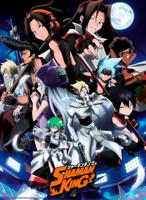 Poster Shaman King Shaman Fight 38x52cm