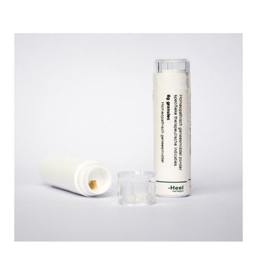 Arnica montana 6CH
