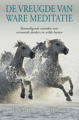 De vreugde van ware meditatie (Paperback)