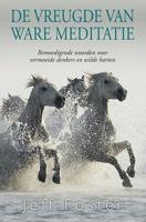 De vreugde van ware meditatie (Paperback)