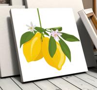 Canvas schilderij stilleven en fruit Citroenboom