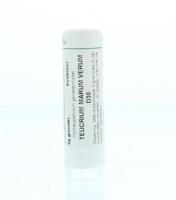 Homeoden Heel Teucrium marum verum D30 6 Gram