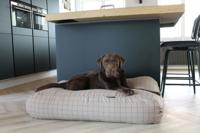 Dog's Companion® Hondenbed Manhattan camel superlarge