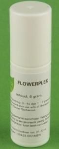 Balance Pharma HFP034 Heldere gedachten Flowerplex (6 gr)