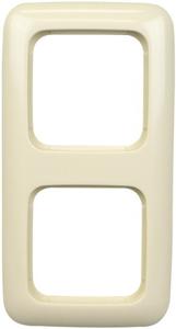 Busch-Jaeger 2-voudig afdekraam crèmewit 2512-212