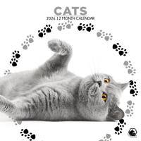 Katten Kalender 2026