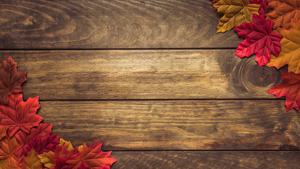 Natuur vinyl vloerkleed Hout met herfstbladeren