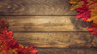Natuur vinyl vloerkleed Hout met herfstbladeren
