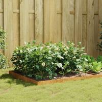 VidaXL Plantenbak verhoogd 100x100x18,5 cm cortenstaal