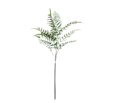 Varenblad lichtgroen 91 cm - Buitengewoon de boet