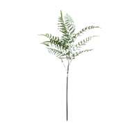 Varenblad lichtgroen 91 cm - Buitengewoon de boet