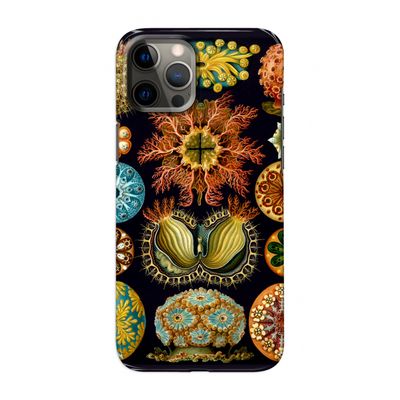 Haeckel Ascidiae: Volledig geprint iPhone 12 Pro Max Hoesje