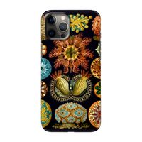 Haeckel Ascidiae: Volledig geprint iPhone 12 Pro Max Hoesje