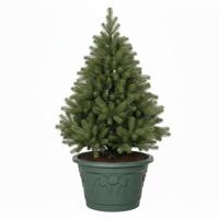 Decoris Kerstboom voet standaard - groen - kunststof - 42 x 25 cm - rond - voor echte bomen