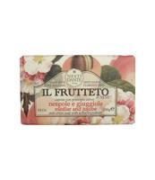 Nesti Dante il frutteto medlar & jujube zeep 250gr.