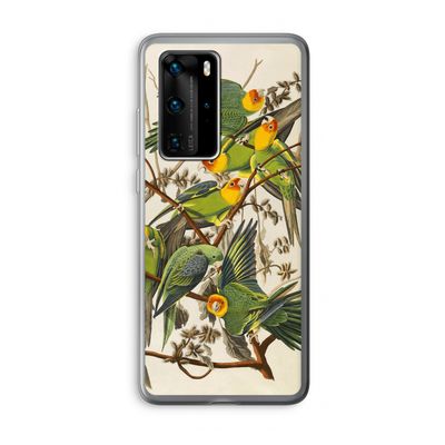 Carolinaparkiet: Huawei P40 Pro Transparant Hoesje