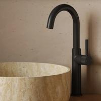 Wastafelkraan SaniClear Highriser Curved | Opbouw | Mengkraan | Hoog model | Mat zwart
