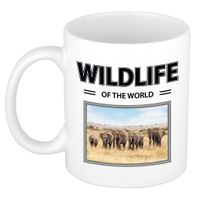 Olifant mok met dieren foto wildlife of the world - thumbnail