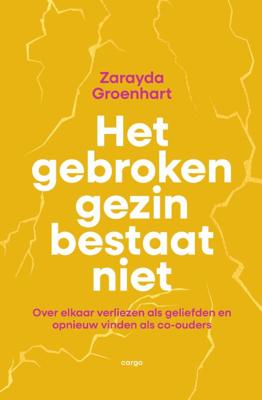 Het gebroken gezin bestaat niet (Paperback)