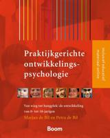 Praktijkgerichte ontwikkelingspsychologie (Paperback)