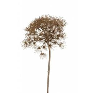 Fleurdirect Kunstbloem Heracleum - Bruin - Polyester