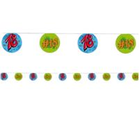 Versiering 18 jaar blauw/groen