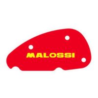 Luchtfilter Malossi Aprilia Ditech
