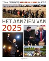 Het aanzien van 2025