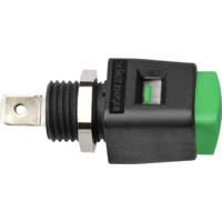 Schützinger Sneldrukklem Groen 16 A 1 stuk(s)