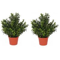 Kunstplant Buxus - 2x - groen - in pot - 31 cm - Kantoor/huiskamer