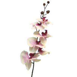 Kunstbloem Orchidee Milan - wit/roze - 78 cm - losse steel - kunst zijdebloem - Phalaenopsis