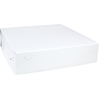 Zwanenhals/ verzenddoos | karton | 34x34x8cm | duplex | wit | 50 stuks