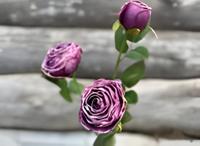 Roze 3 knoopjes violet - Buitengewoon de boet Roze 3 knoopjes violet - Buitengewoon de boet