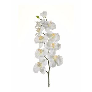 Phalaenopsis kunst tak 100 cm wit   -