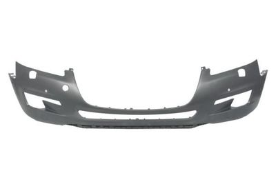 Bumper 5510005527901P